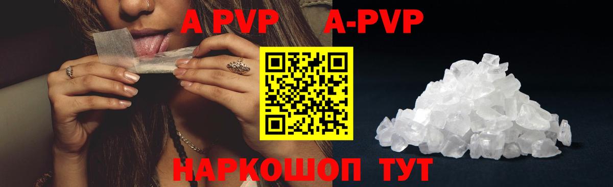 Alfa_PVP СК Нижневартовск