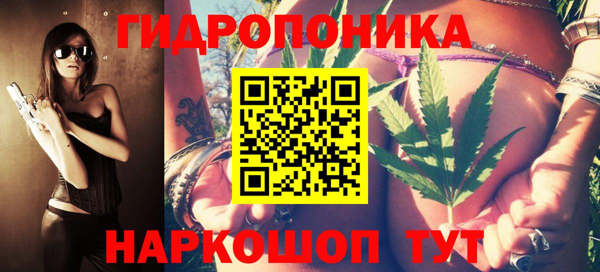 Бошки Шишки OG Kush  Конопля OG Kush  Конопля планчик  Нижневартовск  Марихуана тримм  Вход с VPN 